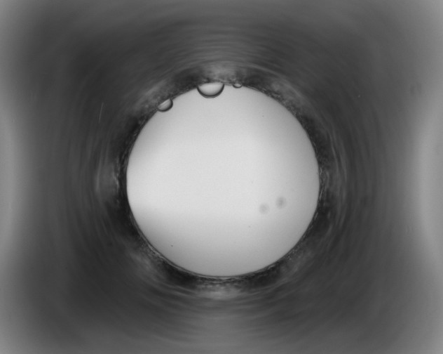X0000085240702200703301748