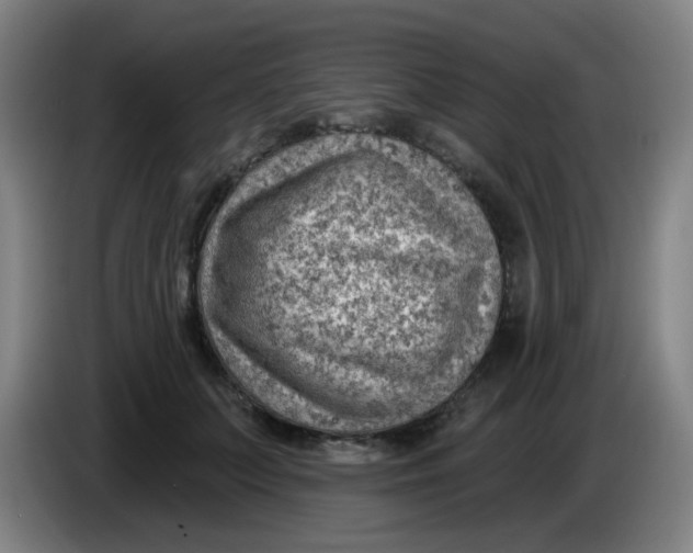 X0000085240703200703301748