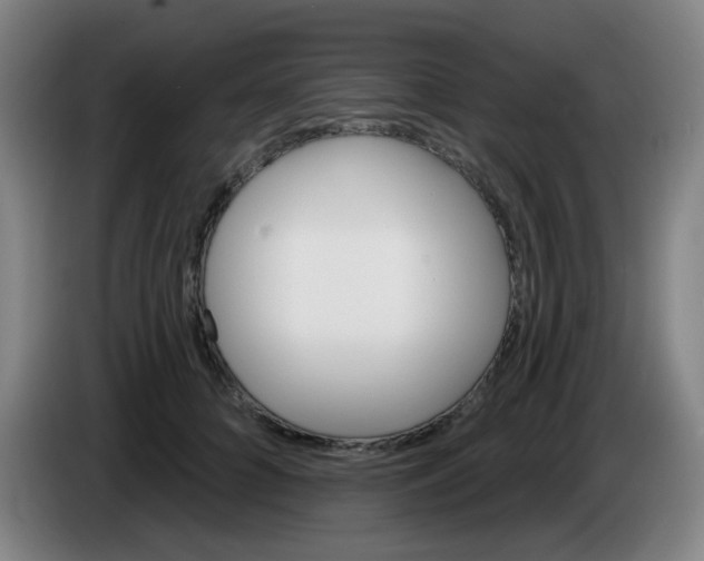 X0000085240704200703301748