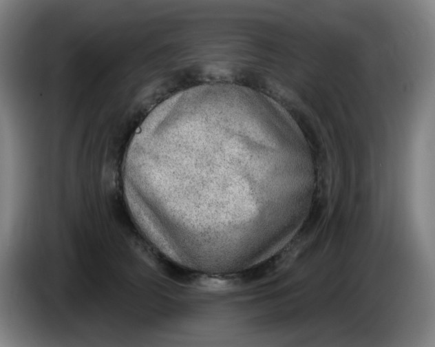 X0000085240706200703301748
