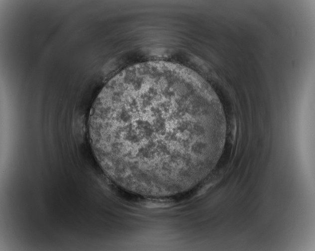 X0000085240707200703301748