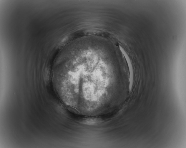 X0000085240708200703301748