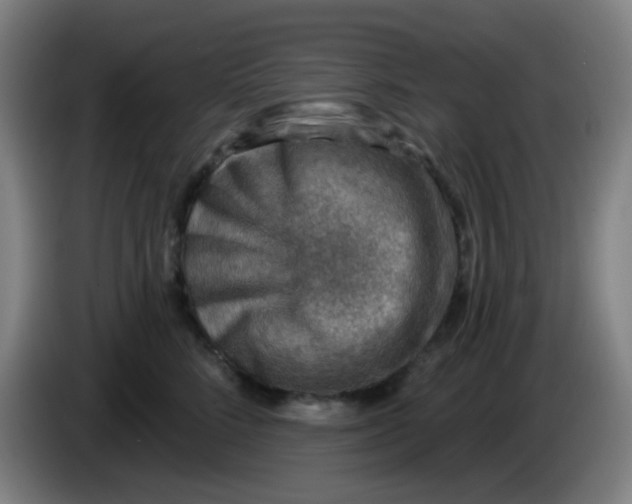 X0000085240712200703301748