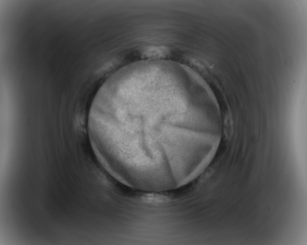 X0000085240714200703301747