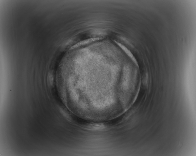 X0000085240715200703301747