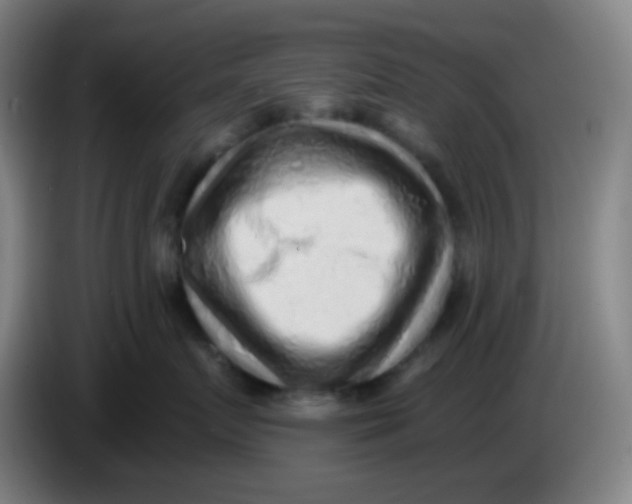 X0000085240719200703301747