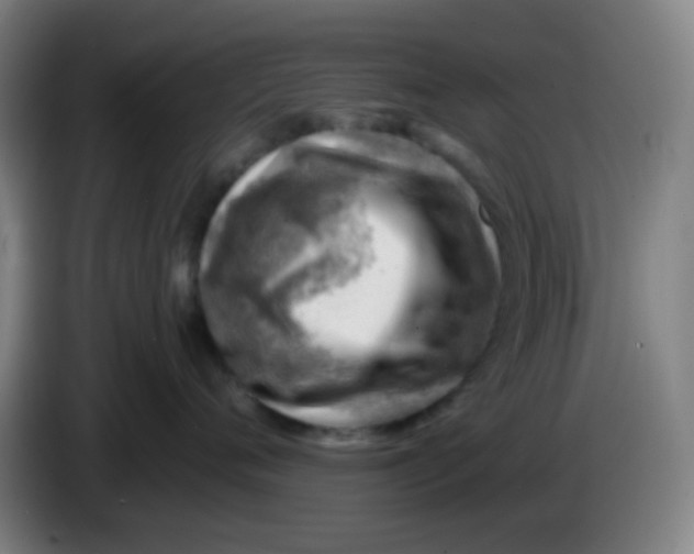 X0000085240720200703301747