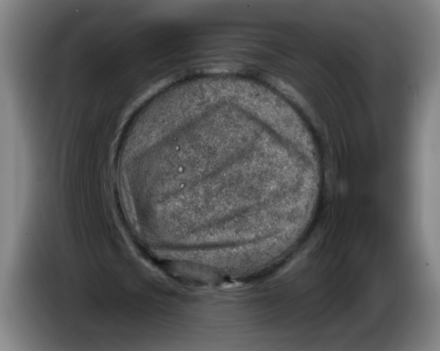 X0000085240721200703301747
