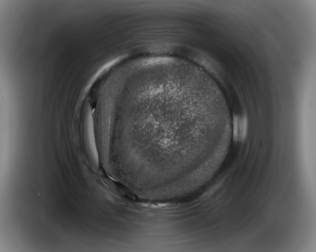 X0000085240723200703301747