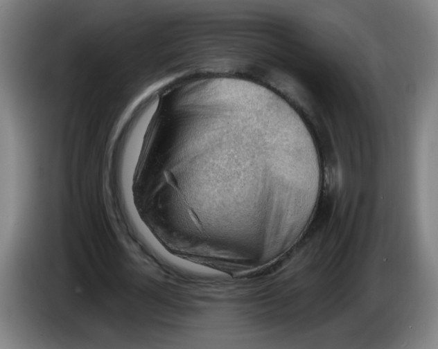X0000085240724200703301747