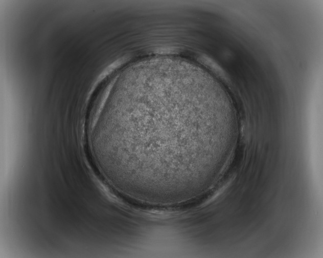 X0000085240725200703301747