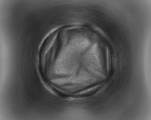 X0000085240726200703301747
