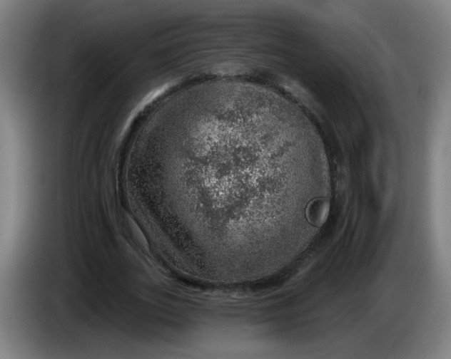 X0000085240727200703301747
