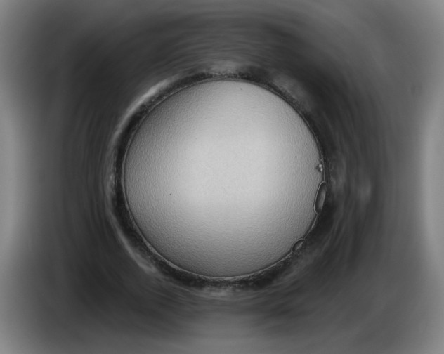 X0000085240728200703301747
