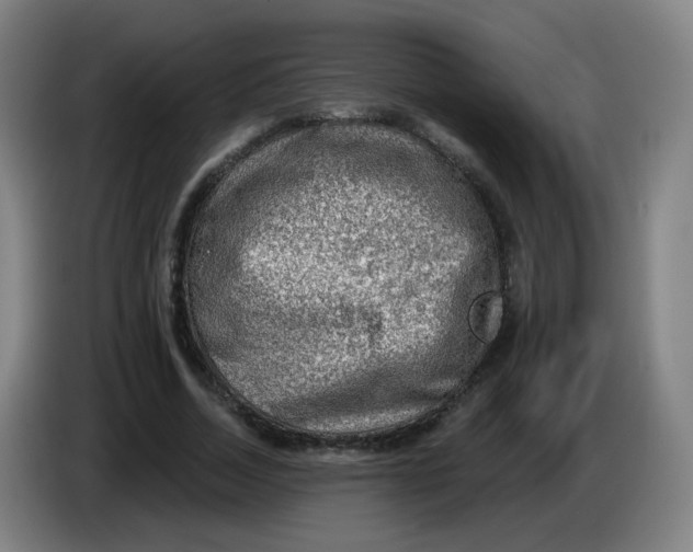 X0000085240730200703301747