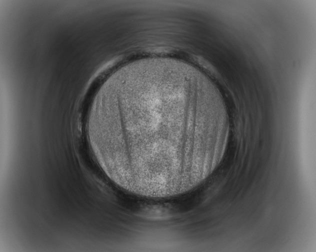 X0000085240731200703301747