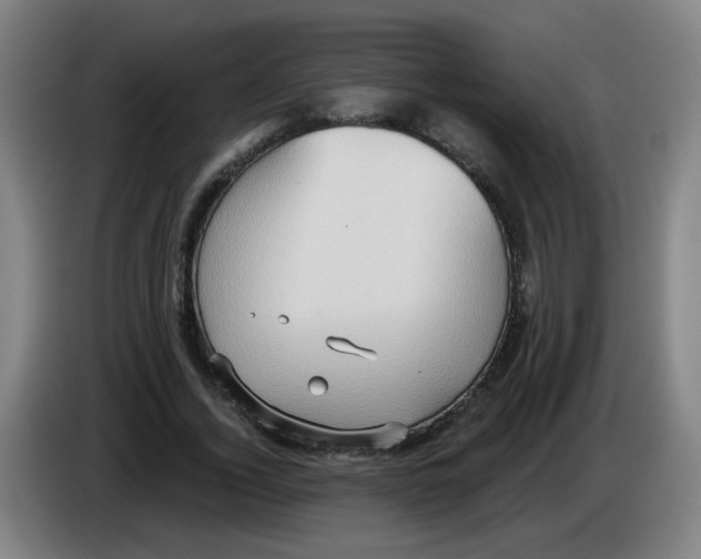 X0000085240732200703301747