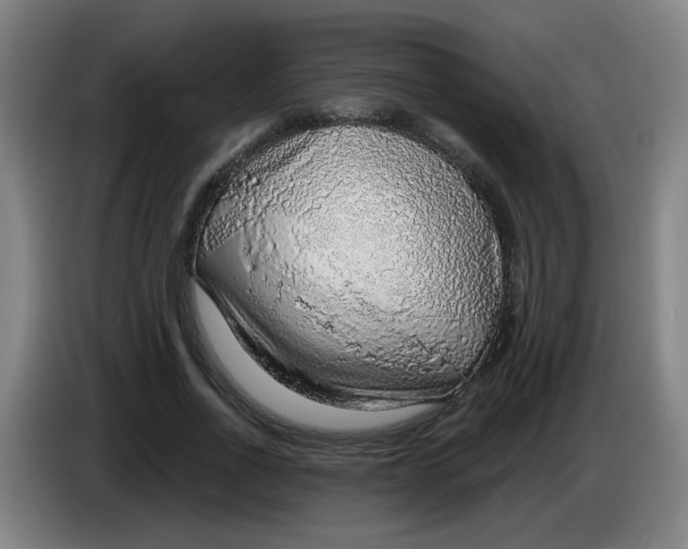 X0000085240734200703301747
