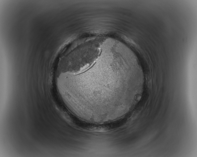 X0000085240735200703301747