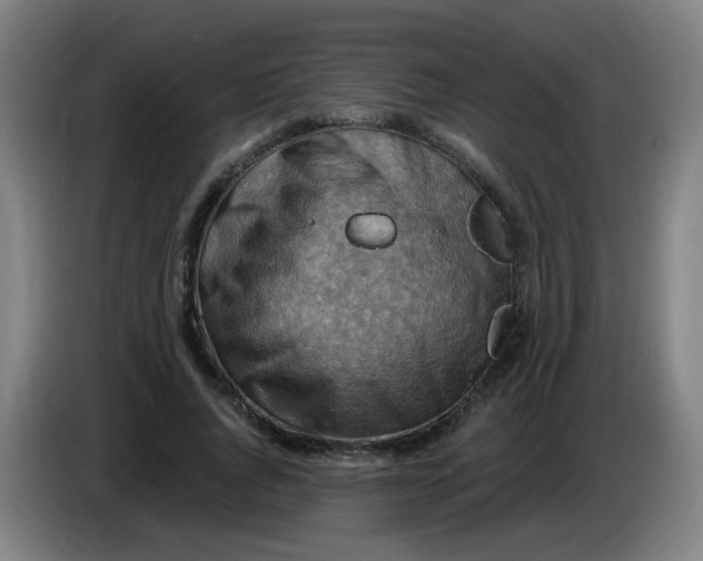 X0000085240736200703301747