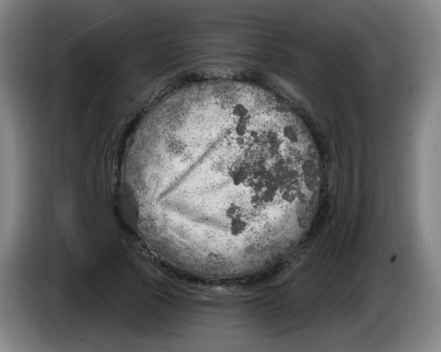 X0000085240737200703301747