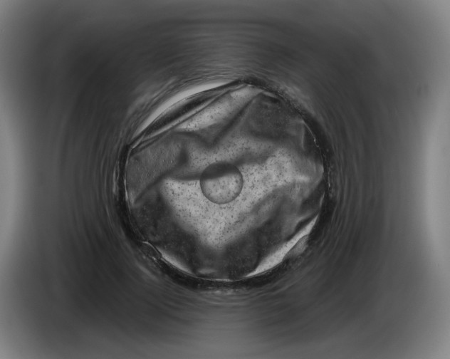 X0000085240740200703301747