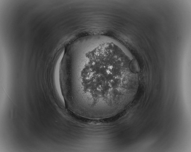 X0000085240742200703301747