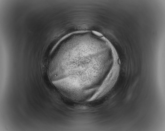 X0000085240743200703301747