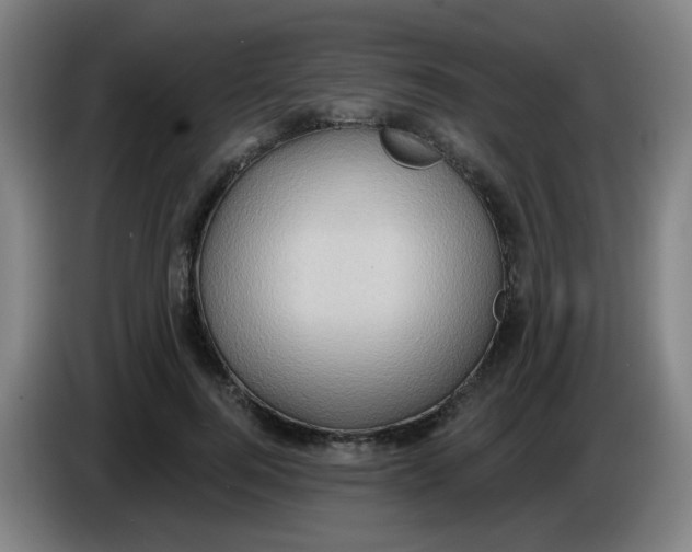 X0000085240744200703301747