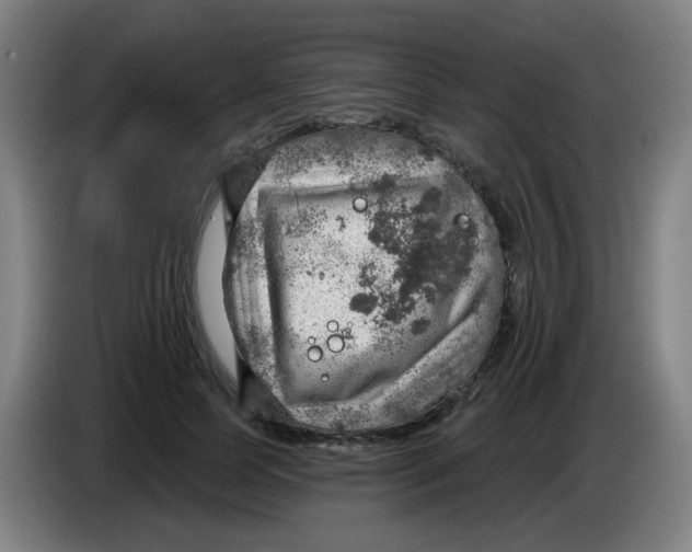 X0000085240745200703301747
