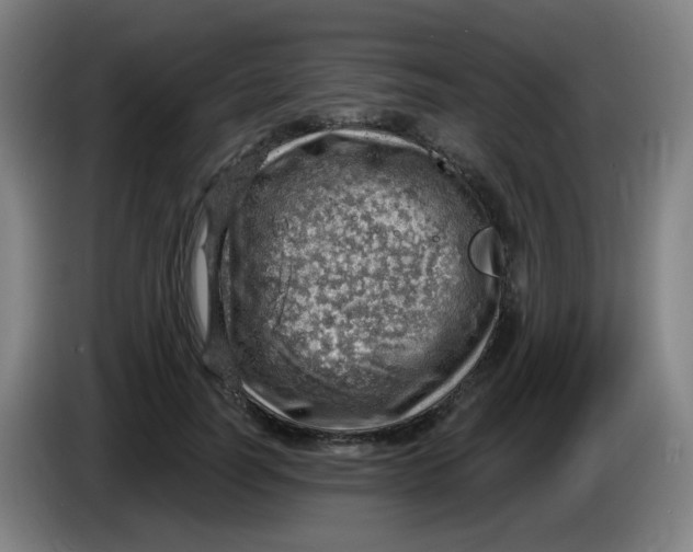 X0000085240746200703301747