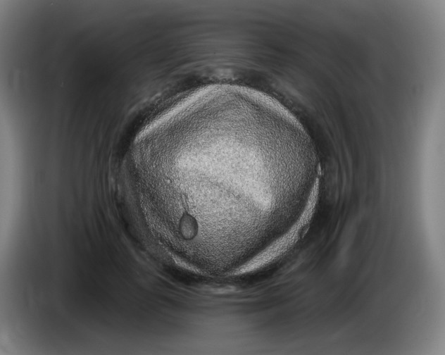X0000085240747200703301747