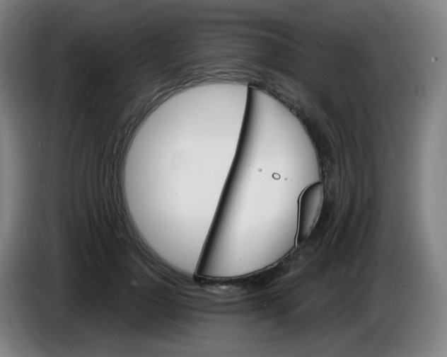 X0000085240748200703301747