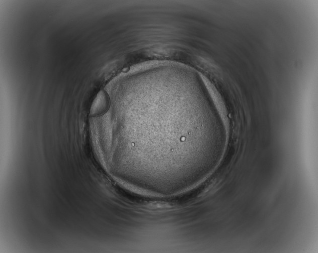 X0000085240749200703301747