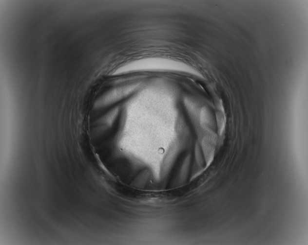 X0000085240750200703301747