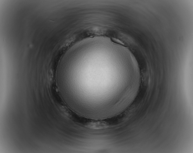 X0000085240752200703301747
