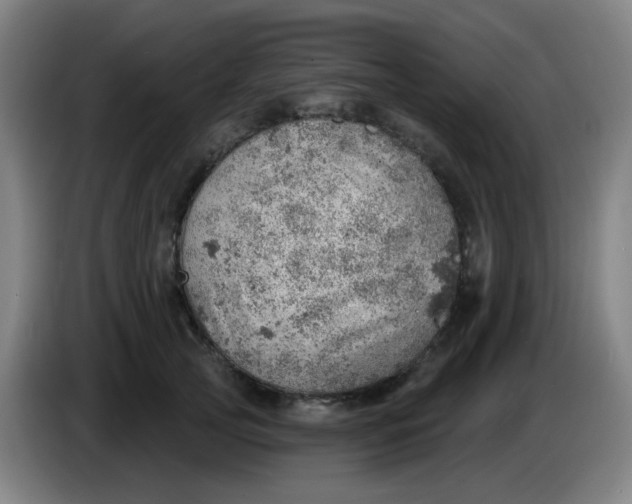 X0000085240753200703301747