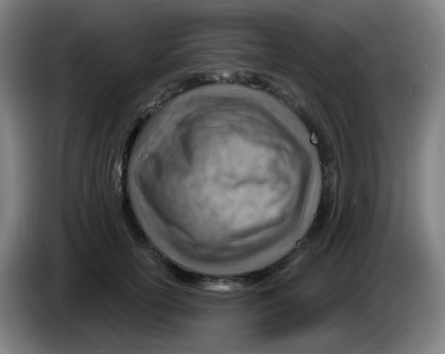 X0000085240754200703301747
