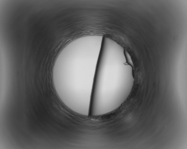 X0000085240756200703301747