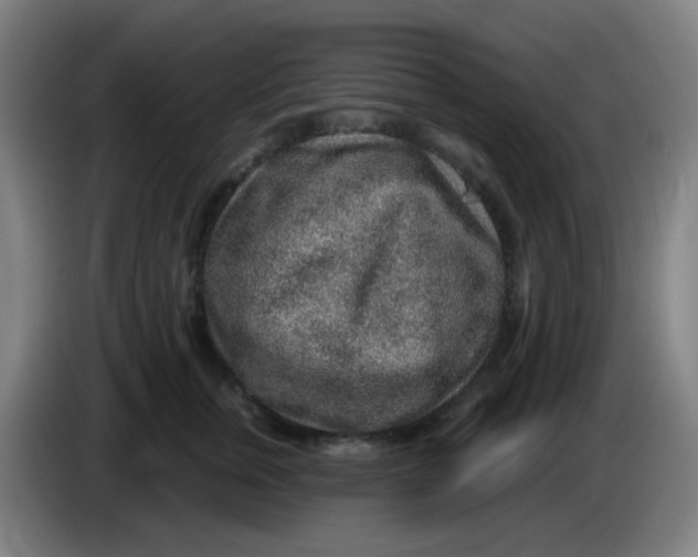 X0000085240759200703301747