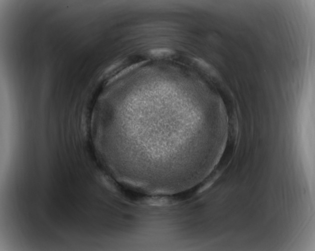 X0000085240762200703301747