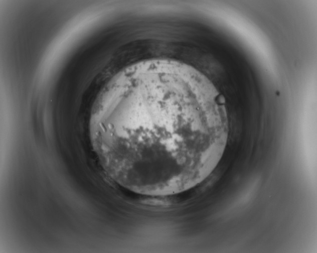 X0000085240765200703301747