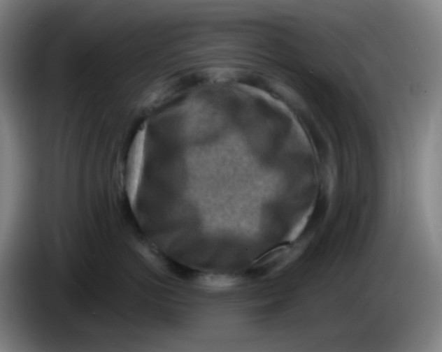 X0000085240766200703301747