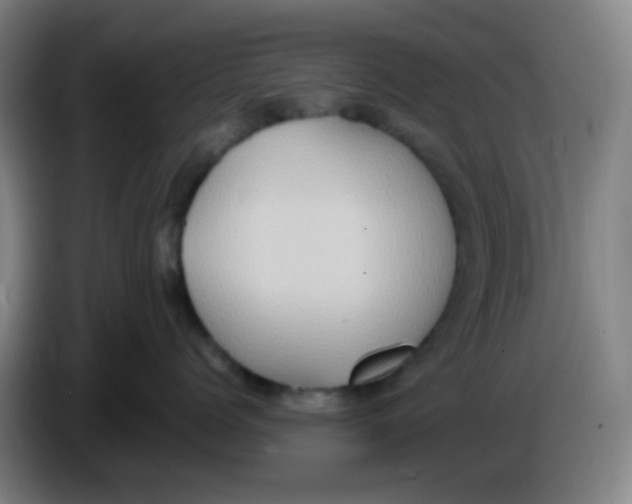 X0000085240768200703301747