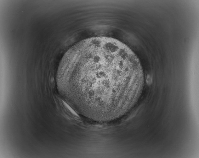 X0000085240771200703301747