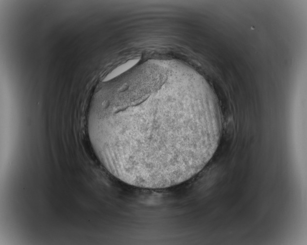 X0000085240772200703301747