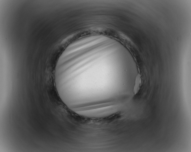 X0000085240773200703301747