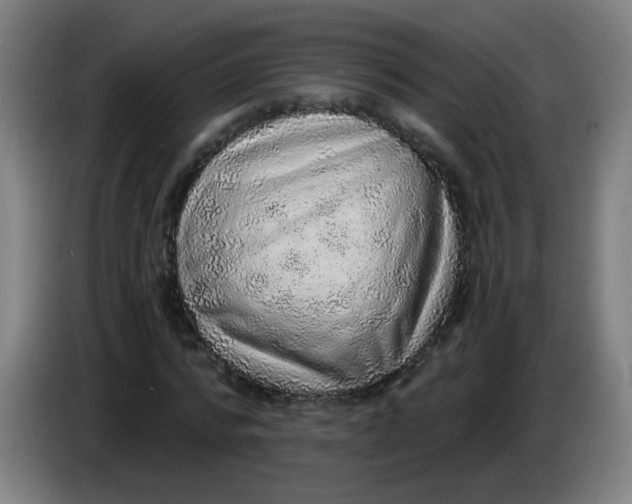 X0000085240776200703301747