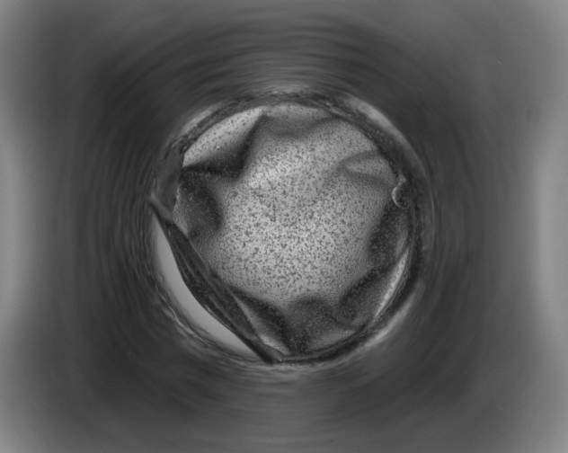 X0000085240777200703301747