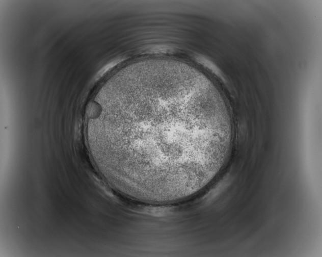 X0000085240778200703301747